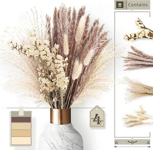 Natural Dried Pampas Grass Tall Real Flowers Home Decor Bouquet Reeds Wheat
