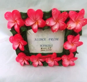 Plumeria Blume Duft Bilderrahmen 5x4,5 - Bild 1 von 10