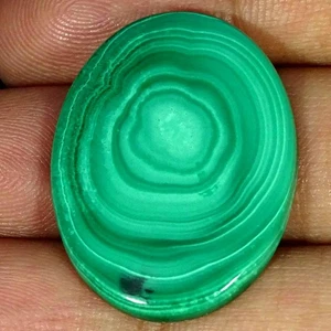 35.10Cts. 100% Natural Best Green Malachite Oval Cabochon Gemstone 23X31X4MM - Picture 1 of 4