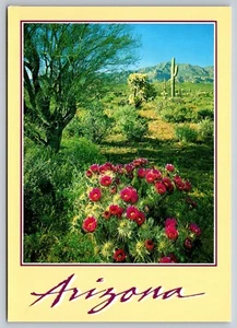 Postcard Arizona Superstition Mountains 22B - Picture 1 of 2