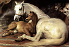 Modern Portrait Handpainted Art High Quality Oil Painting Horses in Tent