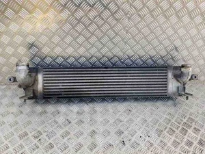 Manguera del intercooler NISSAN X-TRAIL T31 14461JG70B 2.0 diésel 127kw 26172929 - Imagen 1 de 5
