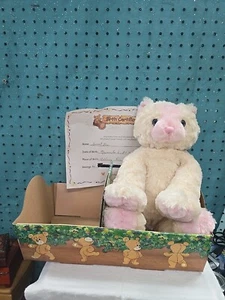Teddy Bear Stuffers White & Pink Kitty Cat 17" Blue Eyes W/ Certificate&Carrier - Picture 1 of 15