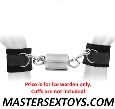 The Ice Warden Self Time Lock Master Slave Sub Dom Juego de rol Acero inoxidable ¡Nuevo! Foto 1 de 4