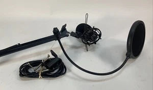 Zingyou Condenser Mic - Picture 1 of 7