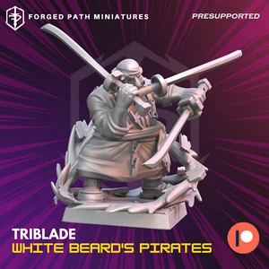 Triblade pirata enano. Miniaturas de mesa Wargaming Fantasía Enanos Barbablanca - Imagen 1 de 2
