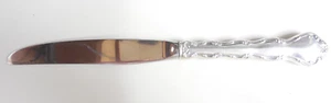 Reed & Barton Tara Mirrostele & Sterling 9" Place Knife - Picture 1 of 4