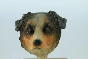  AUSTRTALIAN  SHEPHERD BLUE UNCROP  HEAD  (SEE ALL BREEDS , BODIES @ EBAY STORE) - Picture 1 of 3