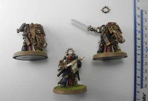 3 BLADEGUARD VETERANOS Plástico Marines Espaciales Ejército Bien Pintado Novamarines 40K 33 - Imagen 1 de 4