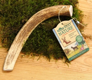 Hundesnack Rothirsch-Geweih hochwertiges Leckerli Gr. L, Dehner Best Nature - Bild 1 von 1
