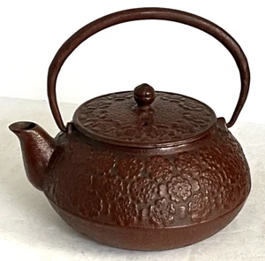 Japanische Gusseisen Tetsukyusu Teekanne Sakura Kirschblüten Design - Bild 1 von 11