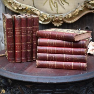 Antique 1797 Buffon's National History Illustrated Leather Bound Books Set of 10 - Picture 1 of 12