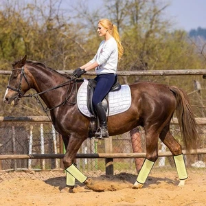 Horse Leg Mosquito Covers: Multi-Color,Fly Protection,Breathable Equestrian Gear - Picture 1 of 19