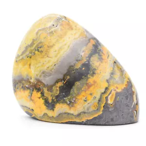 Bumblebee Jasper Freeform - Bild 1 von 5