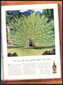 1938 pavo real exhibiendo cola de abanico plumas arte en color cuatro rosas whisky impresión anuncio - Imagen 1 de 7