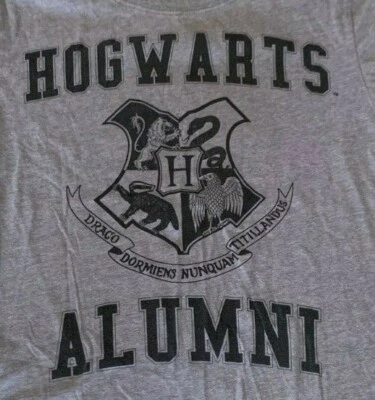 Camiseta infantil juvenil L Harry Potter ex-alunos de Hogwarts Draco Dormiens cinza - Imagem 1 de 3