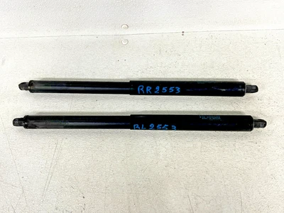 ⭐2007-2014 BMW X5 E70 REAR LEFT/RIGHT TAILGATE TRUNK LID ABSORBER SET LOT2553 Foto 1 de 4