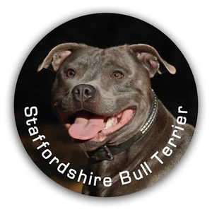 Staffordshire Bullterrier Aufkleber - Autoaufkleber Motiv "Paul" - Bild 1 von 1