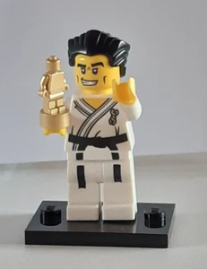LEGO Collectable Minifigures Series 2 - 2010 – Karate Master - 8684 #14 - or'gnl - Picture 1 of 5