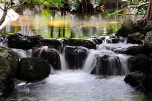 8 1/2 x 11" HQ IMPRESIÓN FOTO de EXPOSICIÓN TEMPORAL de AGUA EN MOVIMIENTO en un ARROYO RELAJANTE - Imagen 1 de 1