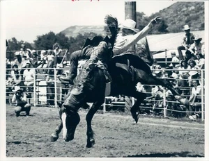 1983 Press Photo Bareback Bronc Riding Contest Scene Douglas County Rodeo - Picture 1 of 2