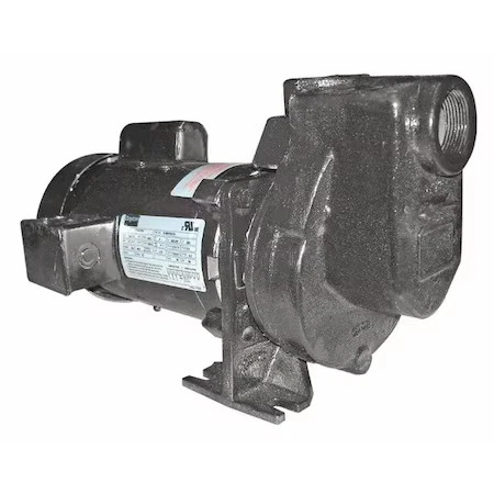 Bomba centrífuga Dayton 5Wxu4, 1/3 HP, 115/208 a 230V CA, 1 fase, 45 pés máx. - Imagem 1 de 1
