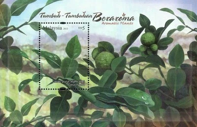 *FREE SHIP Malaysia Aromatic Plants 2012 Fruit (MS) MNH *Unusual *scented Smell - Image 1 of 4