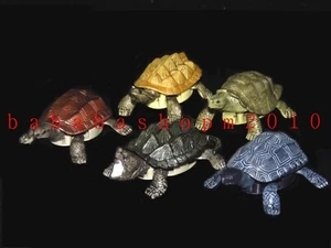 Takara Tomy reptile tortoise Turtle winding up gashapon figure (full set 5 Pcs) - Picture 1 of 5