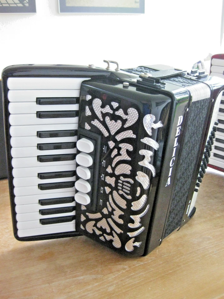 Akkordeon Delicia Junior 32, 48 Bass, 3 und 4 chörig, Modell mit schönem Verdeck - Bild 1 von 4