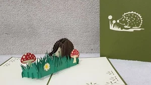 Beautiful 3D Pop Up Hedgehog In The Garden Greeting Card. - Picture 1 of 7