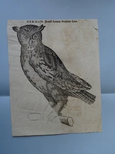 GESSNER(1516-1565) GRAVURE XVI OISEAU ORNITHOLOGIE RENAISSANCE INCUNABLE 1555 BA - Foto 1 di 4