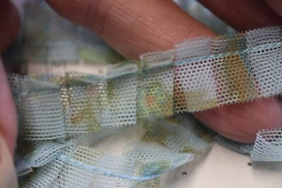 galon frou frou  fleuri bleu x 300 cm - Photo 1/2