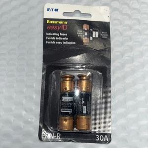 Bussmann easyID 30 Ampere 250 Volt Fiberglas Doppelelement Zeitverzögerungssicherung 2 - Bild 1 von 5