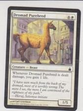 Magic MTG Tradingcard Ravnica City of Guilds 2005 Dromad Purebred 15/306
