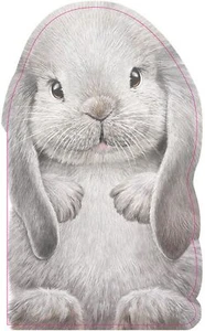 Furry Bunny: A Mini Touch and Feel Book for Baby and Toddler - Foto 1 di 4