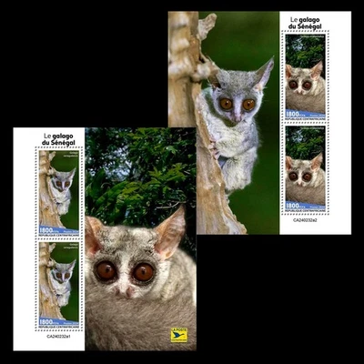 Senegal Bushbaby MNH Stamps 2024 Central African 2 M/S - Image 1 of 3