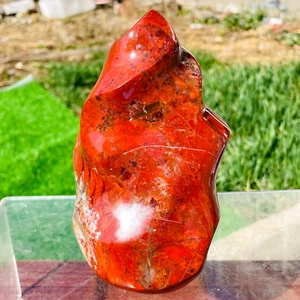 1170g seltene große natürliche Jaspisfackel Quarz Kristall Display Heilung - Bild 1 von 16
