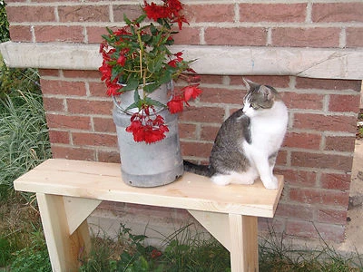 Blumenbank 1 Meter  "  Paul "  Holzbank NATUR Massiv Kinder  Bank Geschenk  - Bild 1 von 4