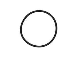 DPH Thermostat O-Ring Thermostat O-Ring fits BMW 850i 1991-1992 23NYRH - Picture 1 of 1