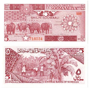Somalia 5 Shilin Soomaali P#31b (1986) Bankiga Dhexe ee Soomaaliya UNC - Picture 1 of 1