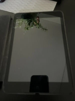 APPLE IPAD MINI 1 64go  Gris  - Photo 1/4