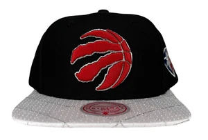 Mitchell & Ness NBA Toronto Raptors 75th Platinum Snapback Hat, Cap, New - Picture 1 of 14