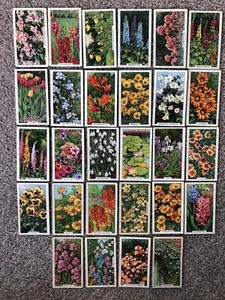 28 cards Gallaher GARDEN FLOWERS  1938 - Picture 1 of 3