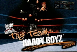 2001 Fleer WWF Wrestlemania Championship Gold Insert #72 The Hardy Boyz Jeff - Picture 1 of 2