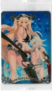"Archer Anne Bonny & Mary Read" [N 04] Fate/Grand Order FGO BANDAI card 2439037
