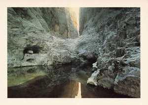 "Paradise Lost" Fern Canyon, Chihuahua Mexico 4 x 5 3/4 Vintage Photo Card - Picture 1 of 2