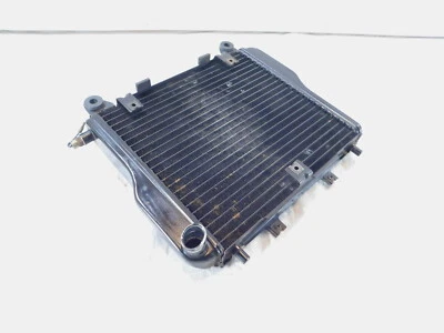 Kawasaki Ninja 1000 1000R ZX1000 Black Motor Engine Oil Cooling Cooler Radiator - Image 1 of 4
