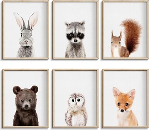 Nursery Baby Room Wall Art Decor, Jungle Nursery Baby Animals Nursery Decoration - Picture 1 of 12