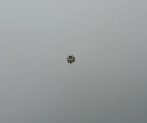 Zeigerstellrad für ETA 2640, 2651, 2671, 2678, setting wheel, part 450, NOS - Picture 1 of 2