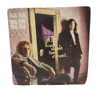 Cheap Trick Don't Be Cruel I Know What I Want 45RPM 7" Vinyl Picture Sleeve 1988 Foto 1 de 4